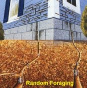 Random Foraging